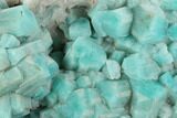 Amazonite Crystal Cluster with Quartz - Colorado #129242-1